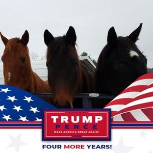 Meet your Posher, Michele